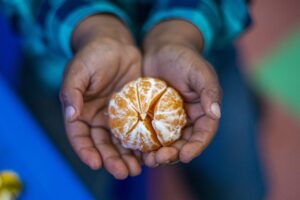 Read more about the article <strong>1 IN EVERY 3 CHILDREN LIVING IN FOOD POVERTY: FOOD WASTE VS CHILD WASTING</strong> – <strong>A FOOD DONATIONS POLICY FOR SA IS CRITICAL</strong>