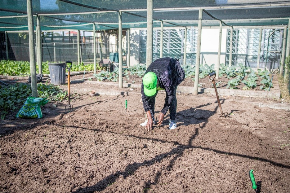 Read more about the article How our FoodBanking Model Promotes Initiatives focused on Skills Development