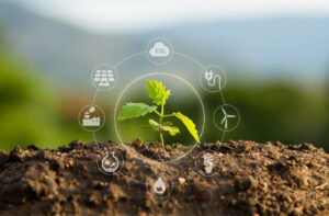 Read more about the article <strong>FoodForward SA Saves 5.2 Tonnes of Greenhouse Emissions, for Every Tonne of Food Recovered</strong>