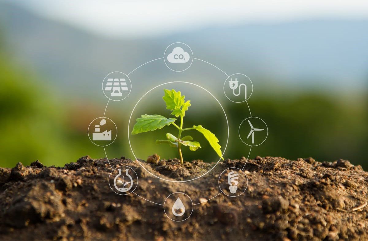 You are currently viewing <strong>FoodForward SA Saves 5.2 Tonnes of Greenhouse Emissions, for Every Tonne of Food Recovered</strong>