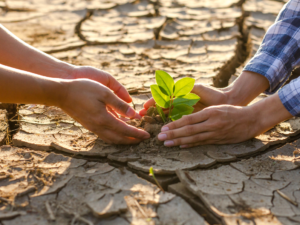 Read more about the article Foodbanking Combats Climate Change – While Fighting Hunger