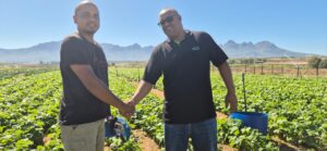 Read more about the article From Tech to Turnips: Veldt Farm’s Journey to Sustainability