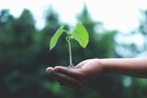 Read more about the article Earth Day 2024 – Take action today to reduce food waste