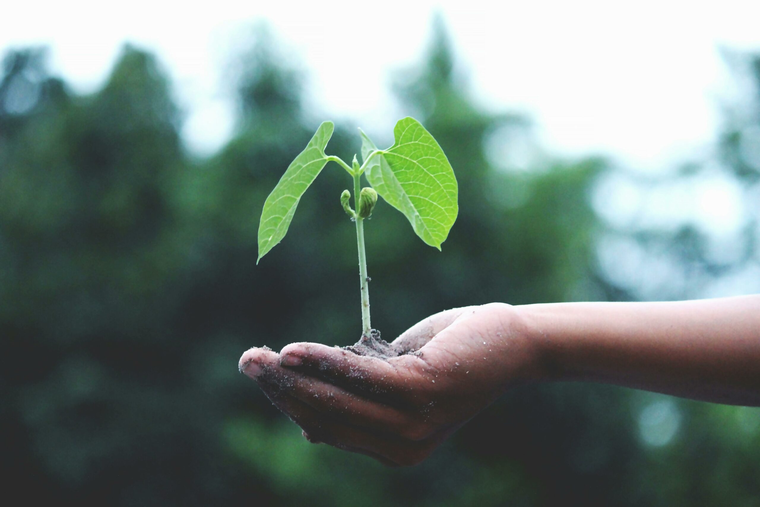 Read more about the article Earth Day 2024 – Take action today to reduce food waste