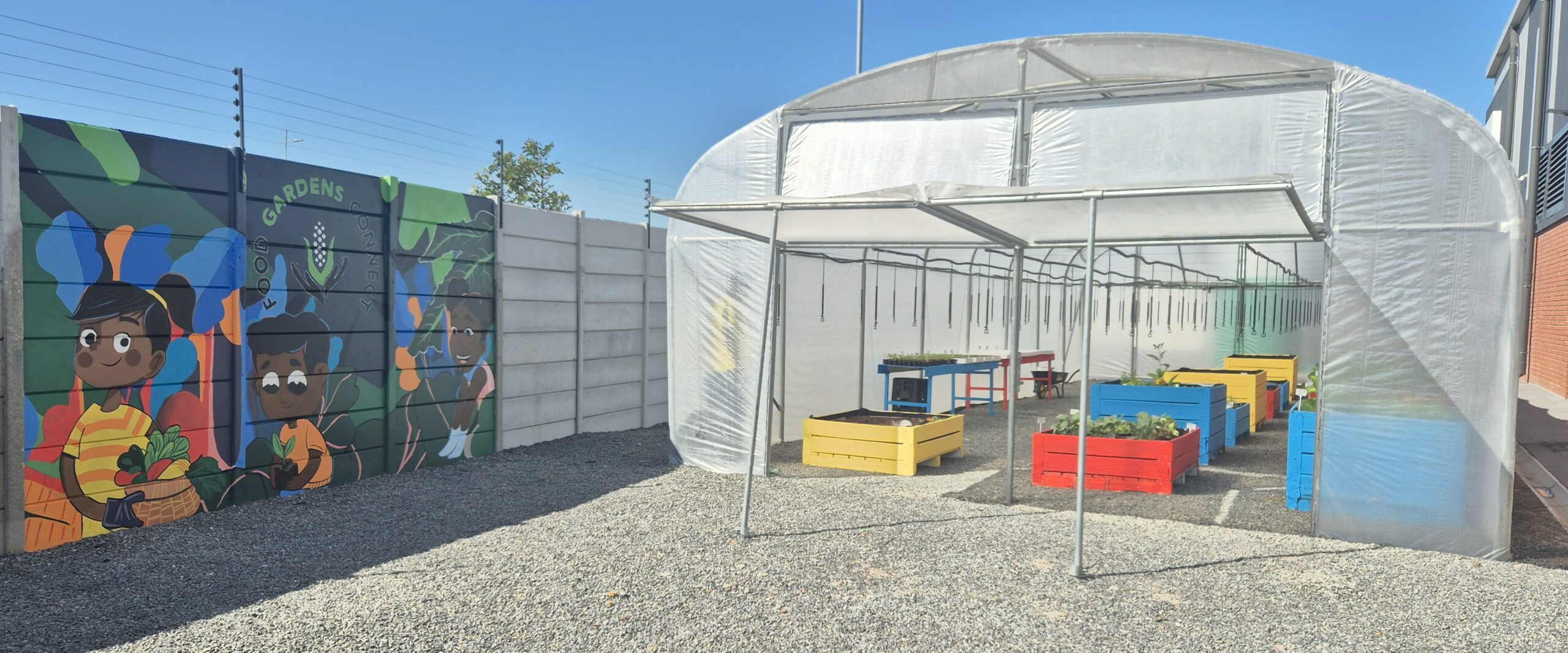 You are currently viewing Seeds of Success: FoodForward SA Connecting Communities Through Gardening