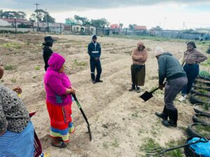 Read more about the article Food Gardens Connect Branches Out: Eight New BOs Added to Growing Project