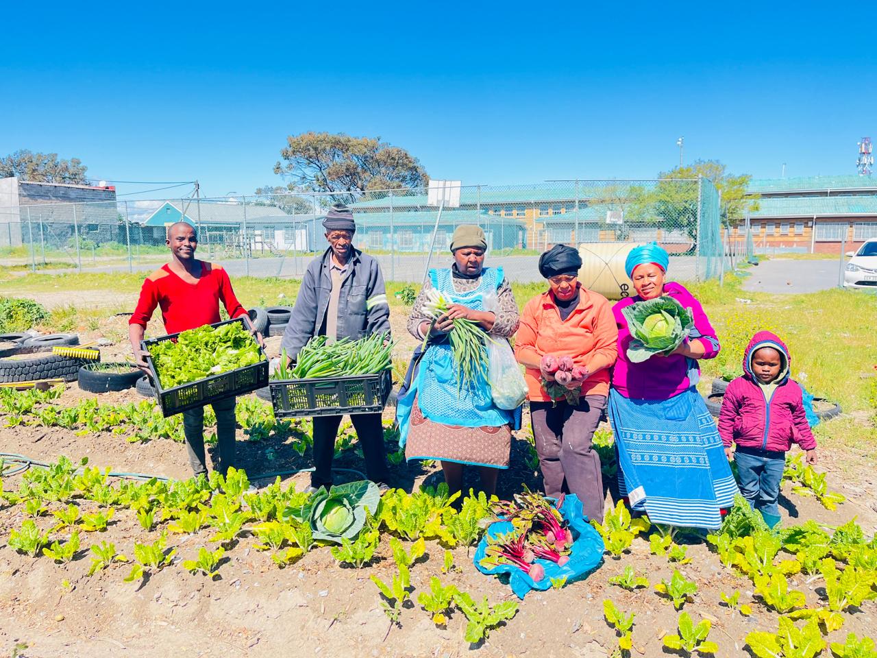 You are currently viewing Cultivating Change: The Impact of Food Gardens Connect