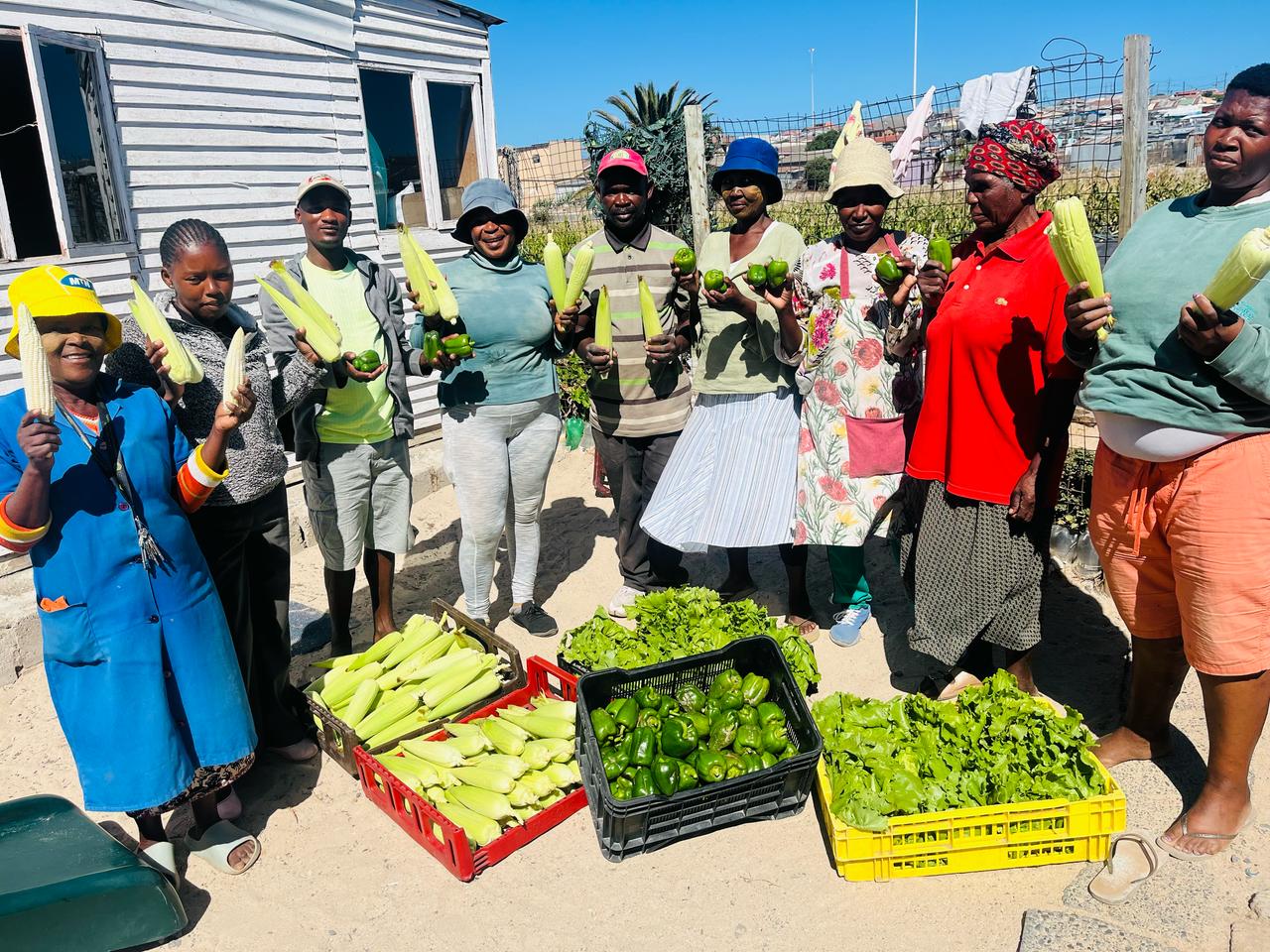 Read more about the article Food Gardens Connect Update: Celebrating Sinethemba Community Organisation’s Harvest of Hope