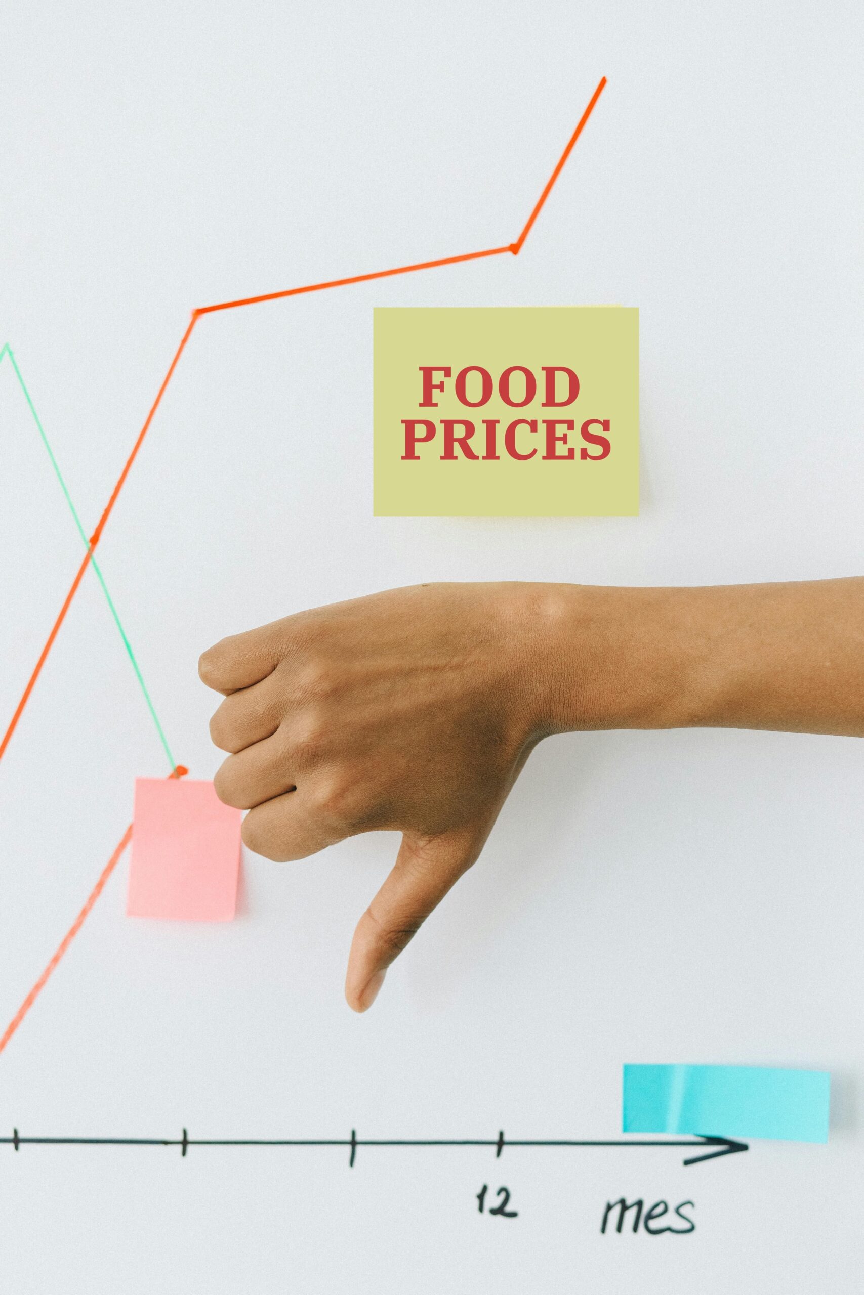 Read more about the article Food Price Survey Shows Shocking Surges Amid Affordability Crisis