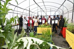 Read more about the article FOOD GARDENS CONNECT: Bridging The Gap Between Poverty and Economic Opportunities