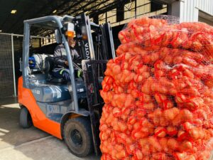 Read more about the article From Farm to Fork: OneFarm Share & FoodForward SA Partner to Transform Surplus into Sustenance