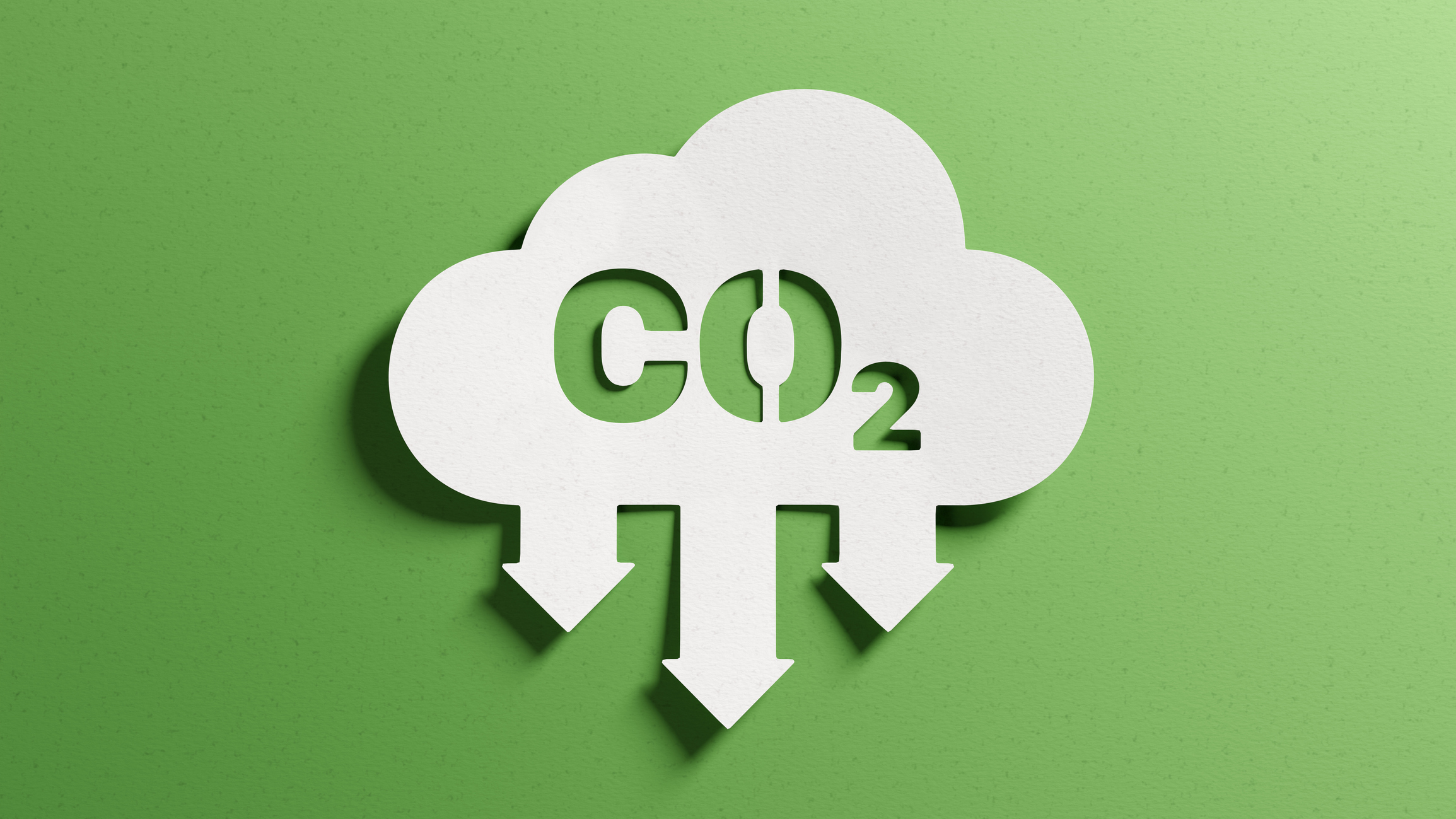 Read more about the article World Environmental Health Day – Clean Air, Healthy People