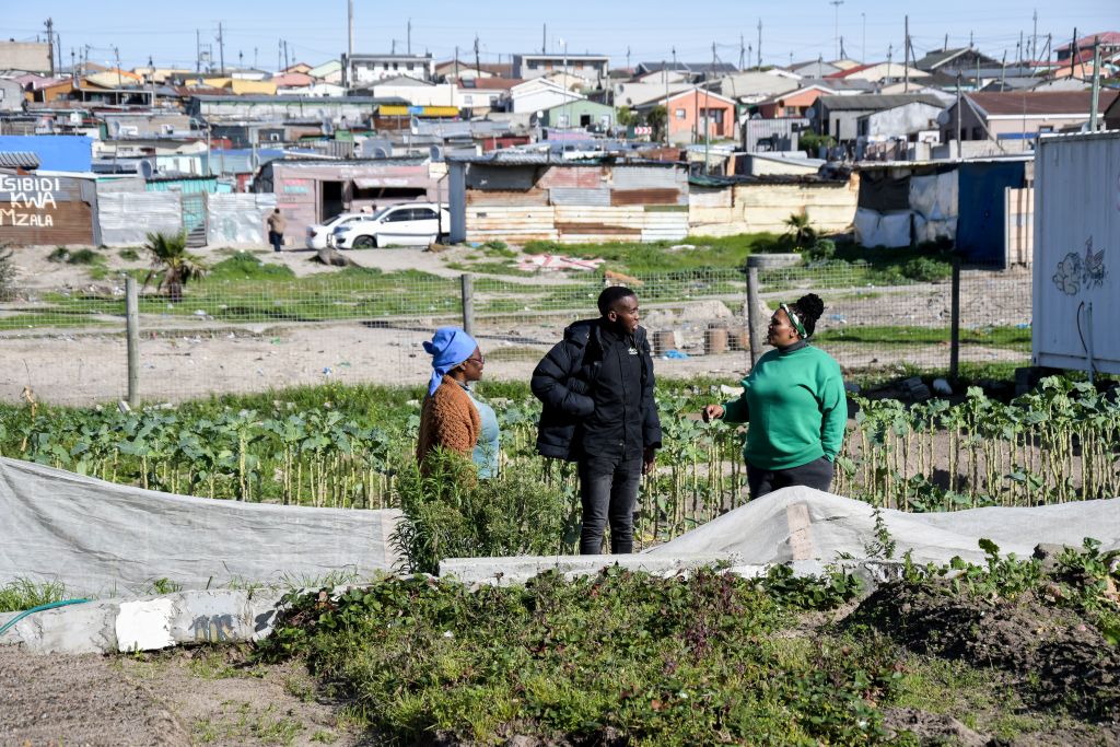 Read more about the article Sinethemba Ithemba: Where Hope Takes Root in Khayelitsha