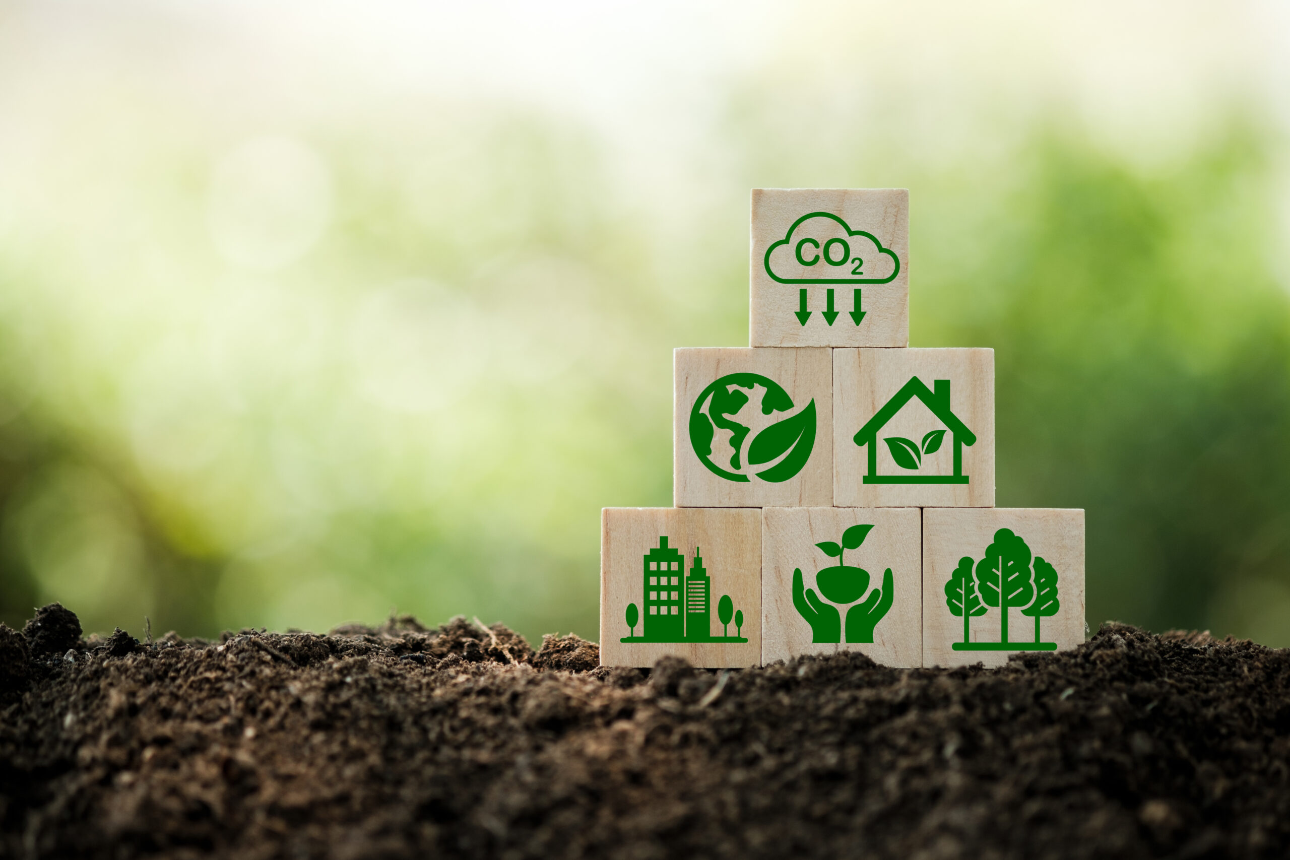 Read more about the article Innovating to Address Food Insecurity and Climate Change at Scale