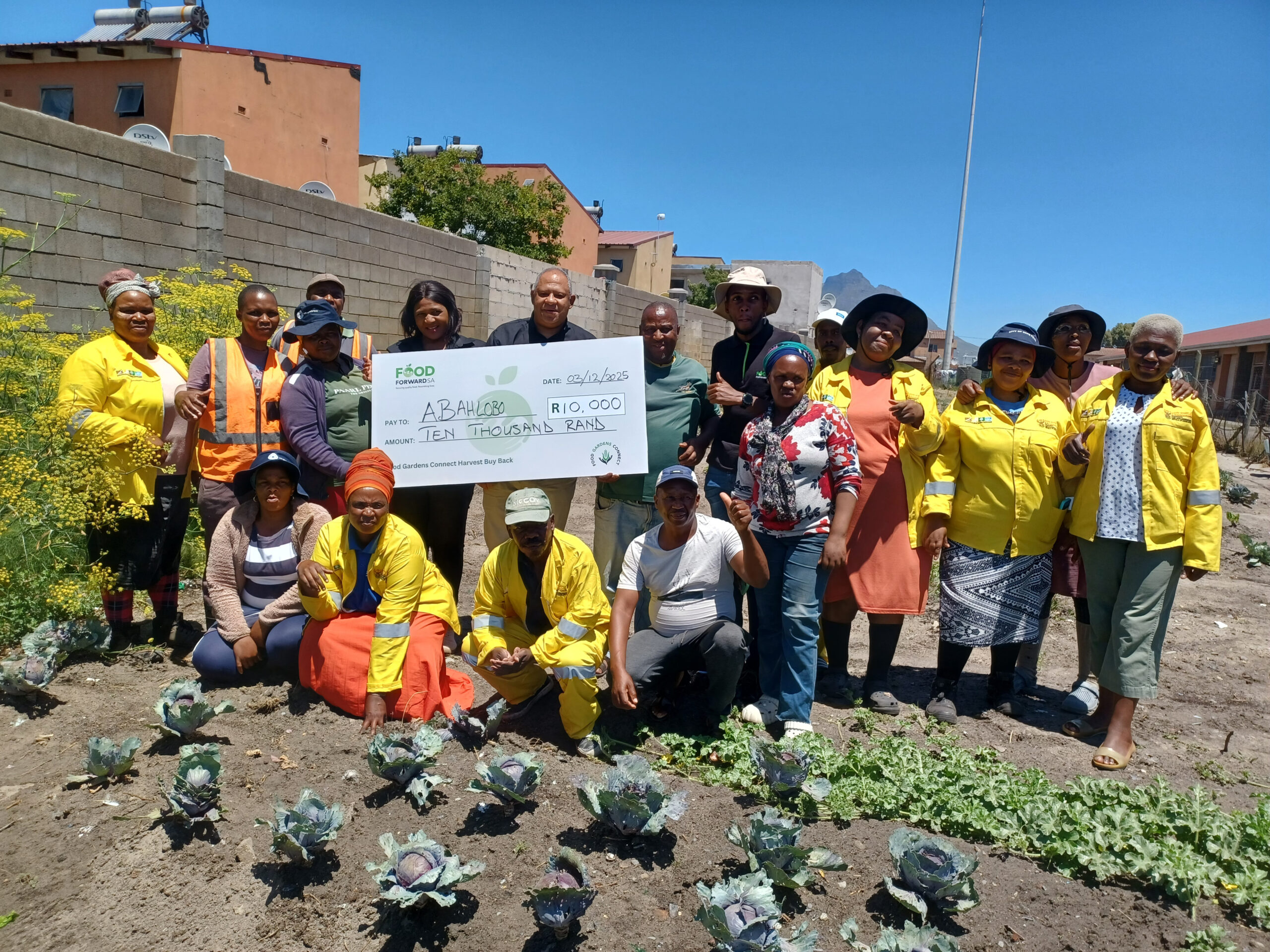 Read more about the article Growing Skills, Growing Income: How Food Gardens Connect Is Empowering Communities