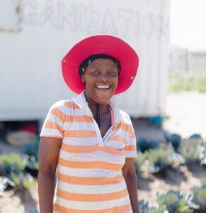 Read more about the article More Than Food: Growing Hope Through Food Gardens Connect