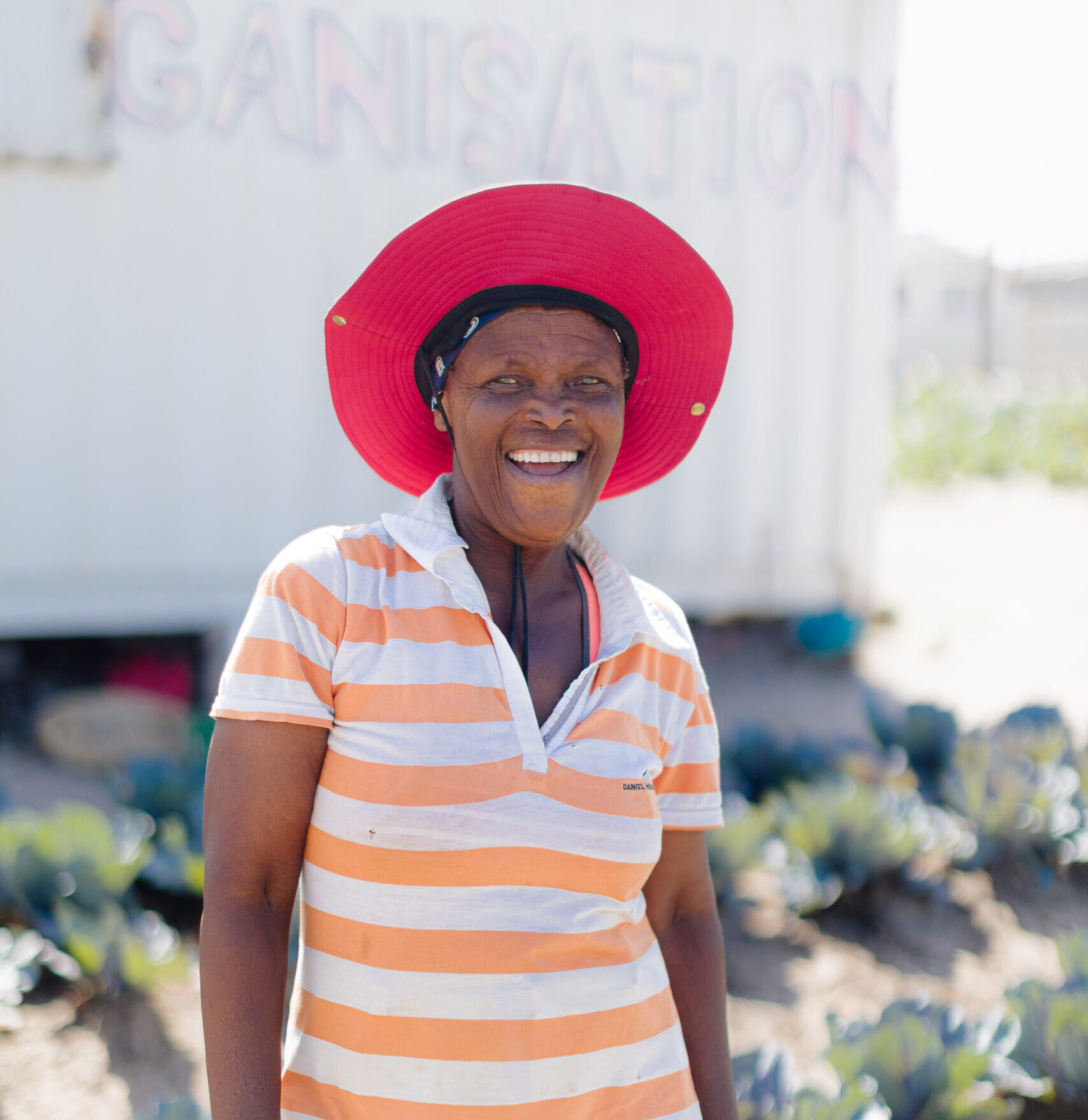 Read more about the article More Than Food: Growing Hope Through Food Gardens Connect