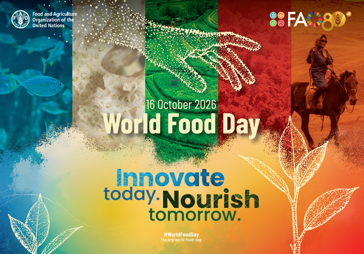You are currently viewing World Food Day: Why We Need Sustainable Food Systems